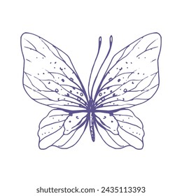 Delicate butterfly with patterns on the wings, simple, sweet, light, romantic. Illustration graphically hand-drawn in lilac ink in line style. Isolated EPS vector object