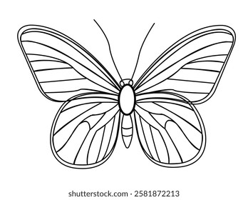 Delicate butterfly vector illustration for spring and summer designs