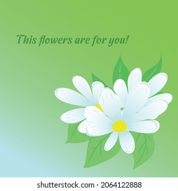 delicate card with daisies in vector