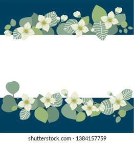Delicate card with eucalyptus foliage and flowers