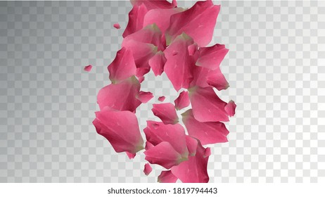 Delicate Card. Delicate Invitation. Isolated Decor. Air Closeup. Organic Rose Bloom. Flying Texture. Real Delicate Card. Natural Composition. Romantic Wedding Petals.