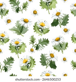 Delicate and cheerful watercolor traced seamless pattern featuring white chamomile (camomile) flowers on transparent background