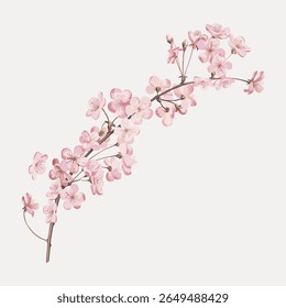 Delicado ramo de flor de cereja com flores rosa. As flores de cerejeira simbolizam a renovação. Perfeito para temas de primavera, projetos florais e projetos inspirados na natureza. Vetor de ilustração de flor vintage.