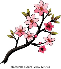 Delicate Cherry Blossom Vector Illustration Celebrating the Beauty of Springtime Blooms