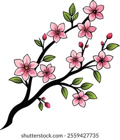 Delicate Cherry Blossom Vector Illustration Celebrating the Beauty of Springtime Blooms