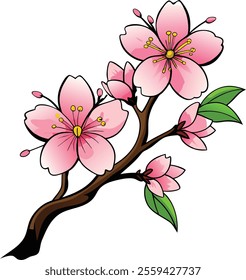 Delicate Cherry Blossom Vector Illustration Celebrating the Beauty of Springtime Blooms