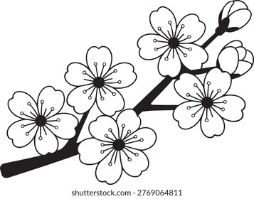 Delicate cherry blossom vector illustration celebrating the beauty of springtime