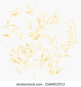 Delicate Cherry Blur Vector Transparent Background. Light Spring Sakura Design. Gold Flower Fall Banner. White Rose Summer Pattern. Japan Peach Frame.
