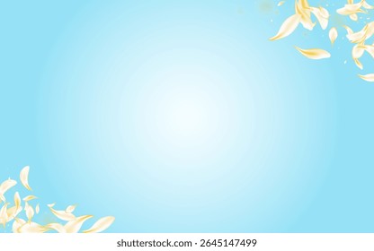 Delicate Cherry Falling Vector Blue Background. Gold Japanese Floral Cover. White Flower Japan Texture. Light Peach Beauty Design. Blur Petal Banner.
