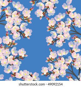 Delicate cherry flowers on branch blooming in spring time