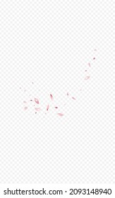 Delicate Cherry Fly Vector Transparent Background. Japanese Blossom Illustration. Pink Rose Blur Design. Beautiful Petal Flying Backdrop.