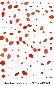 Delicate Cherry Fly Vector White Background. Beauty Lotus Design. Pink Rose Summer Wallpaper. Beautiful Sakura Falling Pattern.