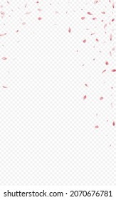 Delicate Cherry Flying Vector Transparent Background. Fly Blossom Pattern. Red Sakura Summer Poster. Beautiful Petal Beauty Wallpaper.