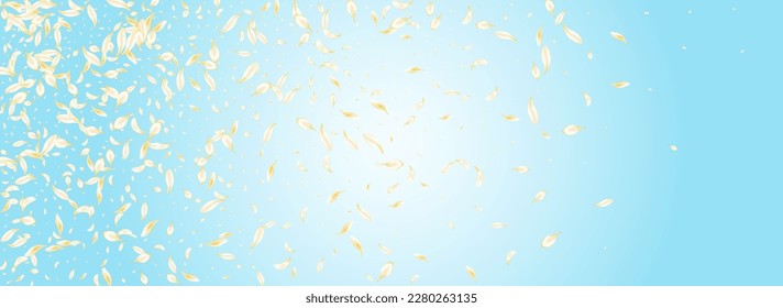 Delicate Cherry Tender Vector Panoramic Blue Background. Gold Spring Sakura Cover. Yellow Peach Fly Poster. White Blossom Beauty Pattern. Japan Lotus Design.