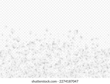 Delicate Cherry Vector Transparent Background. White Tender Petal Backdrop. Fly Flower Texture. Gray Peach Fall Frame.