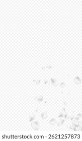 Delicate Cherry Vector Transparent Background. White Flying Flower Design. Fly Petal Banner. Snowy Sakura Blur Cover.