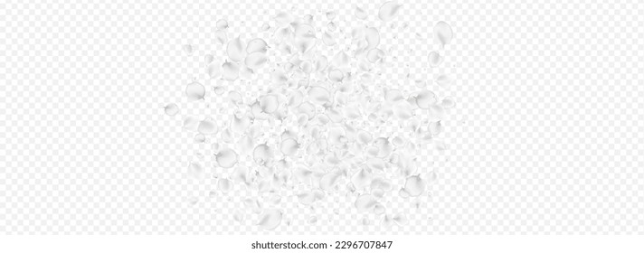 Delicate Cherry Vector Transparent Panoramic Background. Gray Fly Lotus Frame. Falling Sakura Design. White Peach Fall Template.