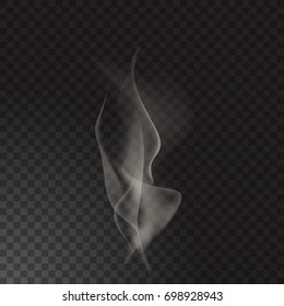 Delicate cigarette smoke waves on transparent background