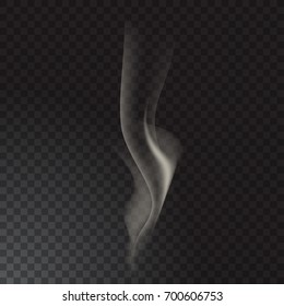 Delicate cigarette smoke waves on transparent background