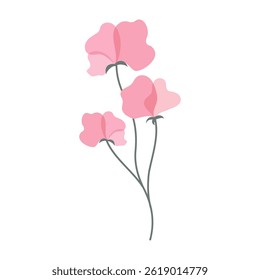 Delicate colorful flowers with green leaves on a clean white background. Spring and Summer Season