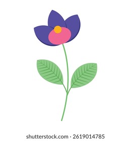 Delicate colorful flowers with green leaves on a clean white background. Spring and Summer Season