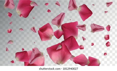 Delicate Confetti. Organic Wallpaper. Valentine Vintage Design. Soft Closeup. Summer Rose Petals. Spring Blossom. Air Delicate Confetti. Isolated Invitation. Romantic Leaf.