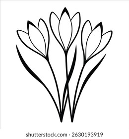 Delicate continuous line illustration of spring crocus flowers ideal for floral themed artwork botanical wall prints garden decor and minimalist natural illustration use