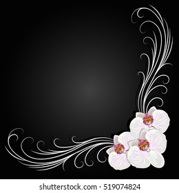 Delicate corner frame with orchid flowers on black background for greeting card or invitation design.