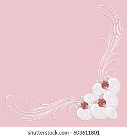Delicate corner frame with orchid flowers on pink background for greeting card or invitation design.