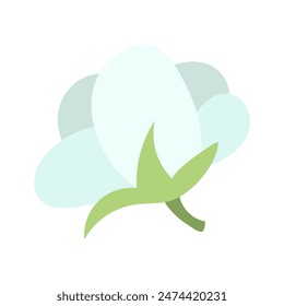 A delicate cotton flower that demonstrates the natural beauty and importance of this plant in the production of environmentally friendly textiles and materials. Isolated fluffy flower on a green stem.