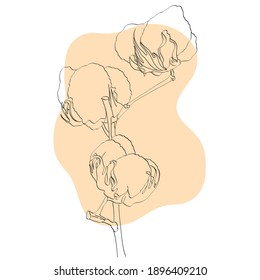 Delicate cotton on a beige background in the style of abstraction
