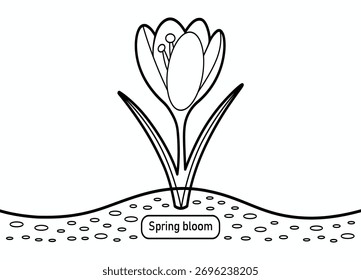 Delicado Croco Linha de Flor Arte Ilustração Spring Bloom Concept Simples Preto e Branco Design Fresco Crescimento Isolado Gráfico