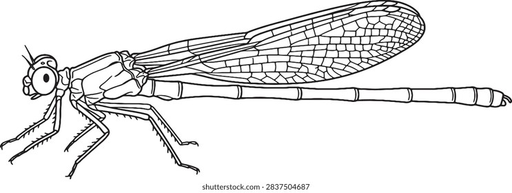 Delicate Damselfly Side Profile Outline Illustration