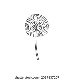 Zarte Leuchterblume im handgezeichnet umrissenen Stil, Vektorgrafik einzeln auf weißem Hintergrund. Blumenblütendoodle für süßes Federdesign.