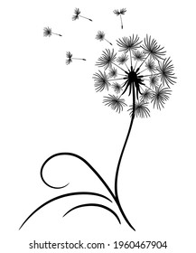 Delicate dandelion with flying seeds. Lonely flower with a thin stem and leaves. Black outline drawing on a white background. Vector illustration, print for a t-shirt, copy space. Dandelion silhouette