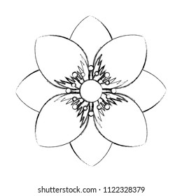 delicate decorative natural ornate flower