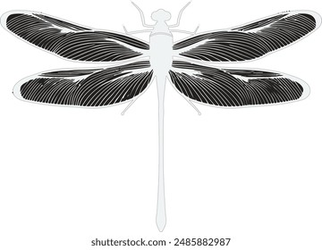 A delicate dragonfly, with shimmering wings and agile flight, symbolizes grace and fleeting beauty, perfect for nature enthusiasts and seekers of tranquil moments.