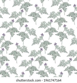 Delicate and elegant seamless vector floral pattern with herb robert (geranium) flowers in watercolor style