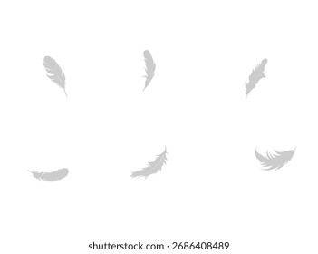 Delicate feathers floating gently on a white background