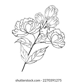 Delicate floral composition, background of lush, luxurious flowers, buds, leaves. For frame, card, poster, poster, divider, border. Hand drawn. With space for text