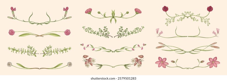 Delicate floral dividers with pink flowers and green leaves. Elegant floral designs for decoration. Florals for creative projects and embellishments. Spring flower illustrations, vector set.