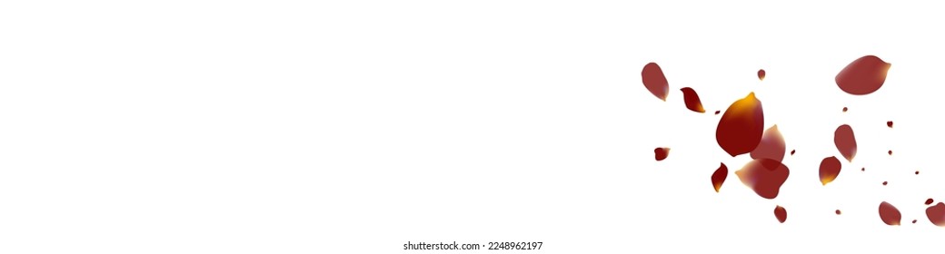 Delicate Floral Fall Vector White Panoramic Background. Falling Rose Cover. Beautiful Lotus Japan Wallpaper. Burgundy Blossom Tender Texture.