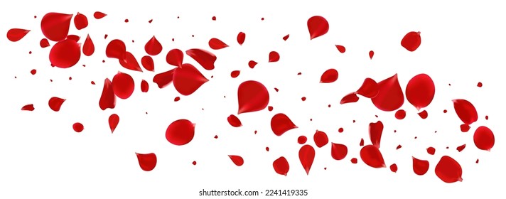 Fliegenvektor mit zarter Blume, Panoramablick, weißer Hintergrund. Unscharfes Rosenplakat. rote Blume Japan Illustration. Rosa Sakura Fallende Tapete.
