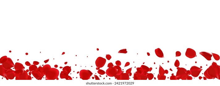 Delicate Floral Flying Vector Panoramic White Background. Summer Petal Wallpaper. Red Sakura Spring Backdrop. Pink Rose Beauty Poster.