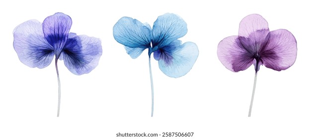 A delicate floral illustration featuring translucent petals in shades of blue and purple, perfect for elegant botanical artwork, decorative projects, and modern design themes