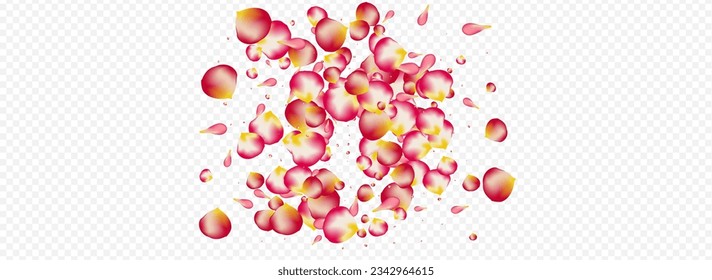Delicate Floral Japan Vector Panoramic Transparent Background. Falling Cherry Backdrop. Red Rose Fly Poster. Beautiful Sakura Summer Texture.