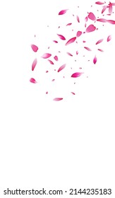 Delicate Floral Japan Vector White Background. Spring Blossom Poster. Pink Sakura Blur Backdrop. Red Petal Tender Banner.