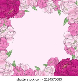 Delicado marco de fondo rosa floral con delicadas peonías de flores primaverales y fondo cuadrado, vector, dibujado a mano, espacio de copia