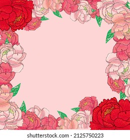Delicado marco de fondo rosa floral con delicadas peonías de flores primaverales y fondo cuadrado, vector, dibujado a mano, espacio de copia