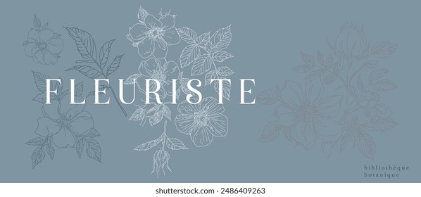 Delicate floral prints with wild rose flowers, rose hips branches, birds. Soft pastel pink aesthetics art, posters, minimal artistic. Japanese style
